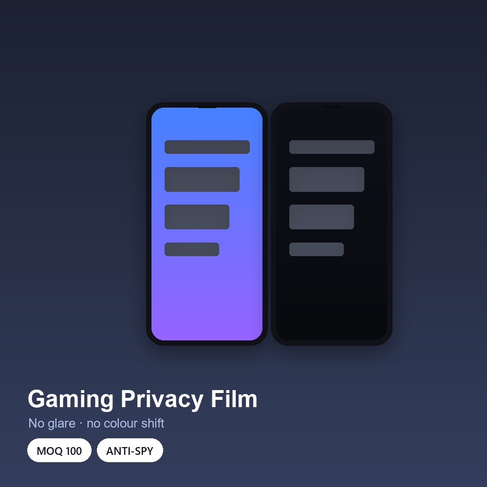 Gaming Privacy Film